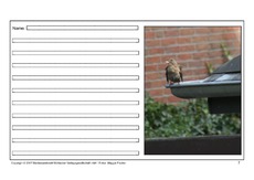 Amsel-eigene-Texte-7.pdf